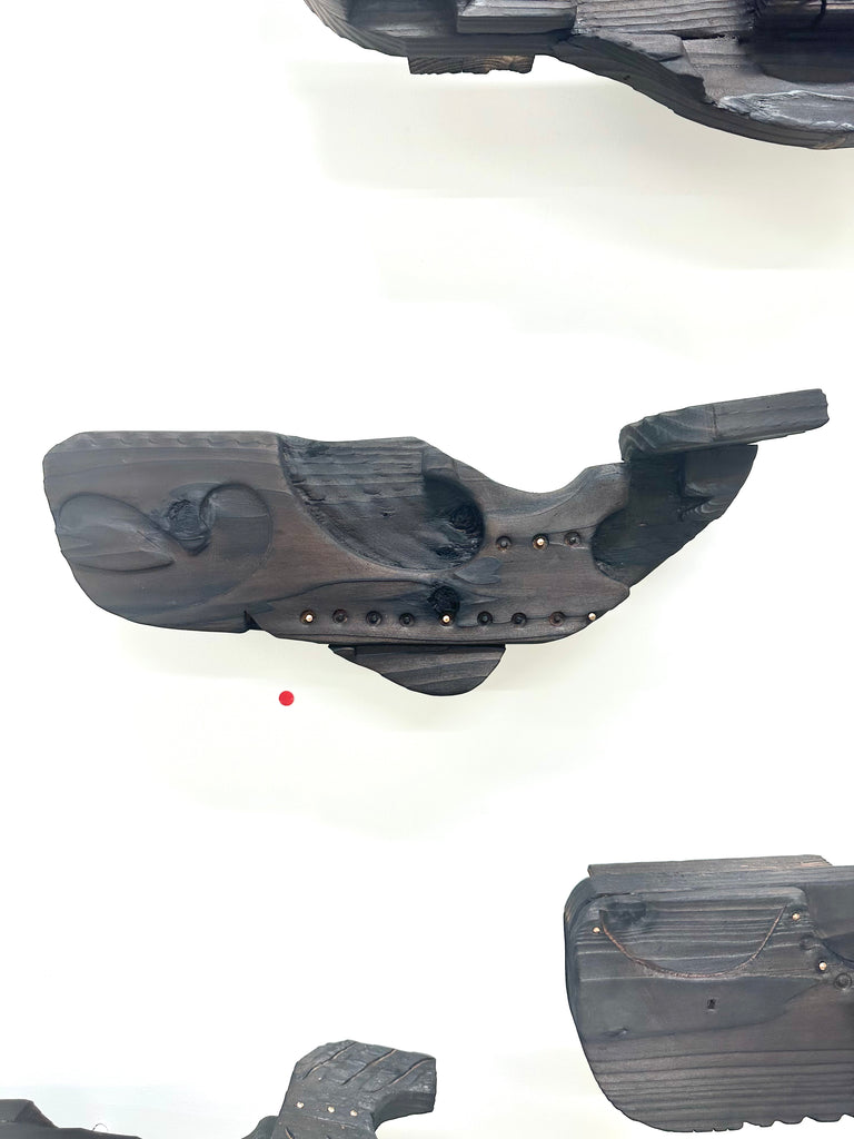 Kāhui Tohorā 5 no.4