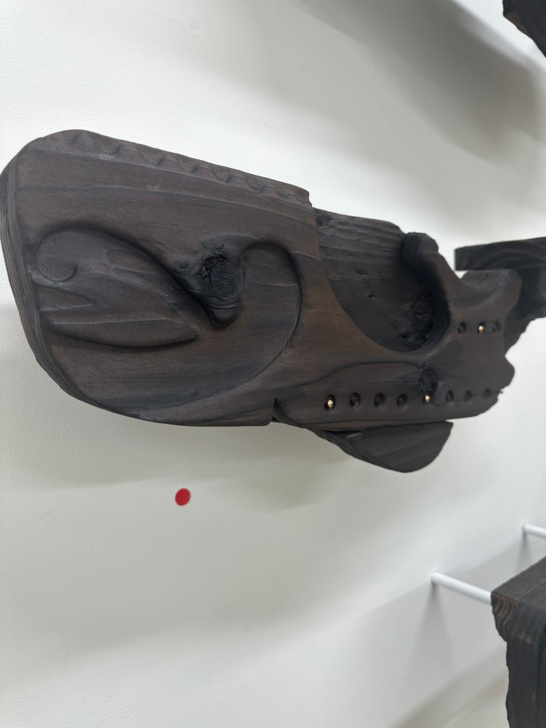 Kāhui Tohorā 5 no.4