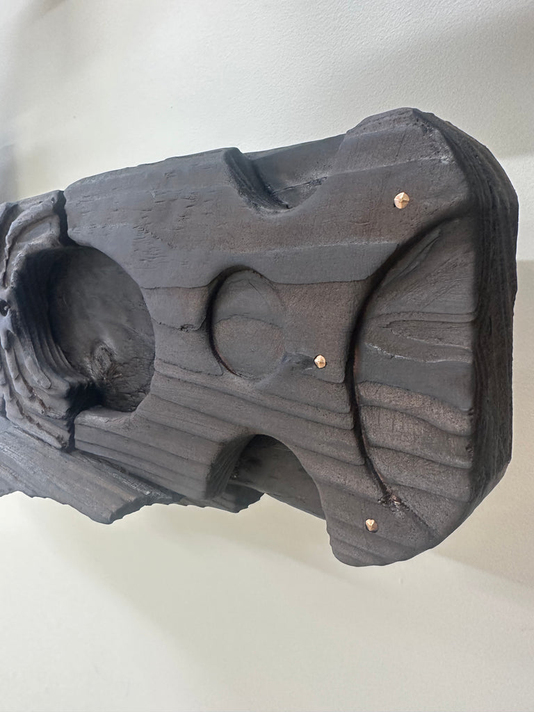 Kāhui Tohorā 5 no.9