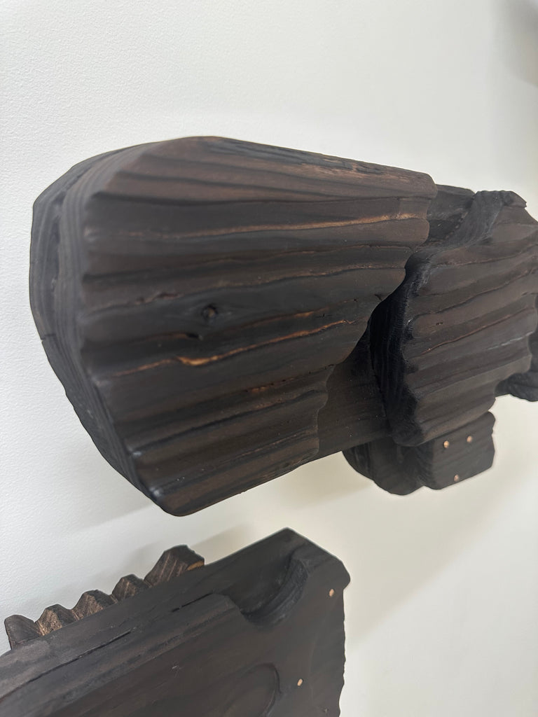 Kāhui Tohorā 5 no.10